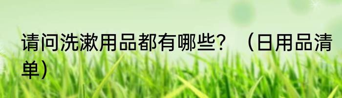 请问洗漱用品都有哪些？（日用品清单）
