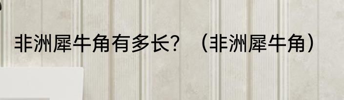 非洲犀牛角有多长？（非洲犀牛角）
