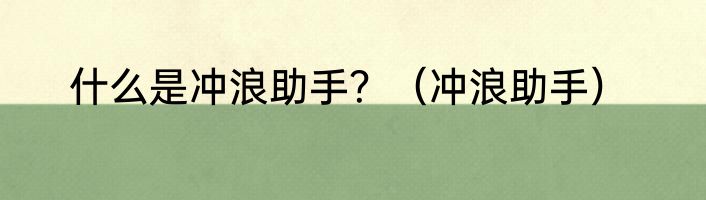 什么是冲浪助手？（冲浪助手）