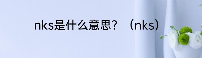 nks是什么意思？（nks）