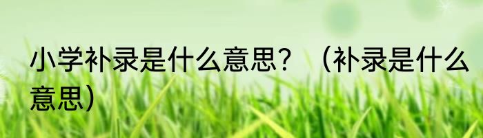 小学补录是什么意思？（补录是什么意思）