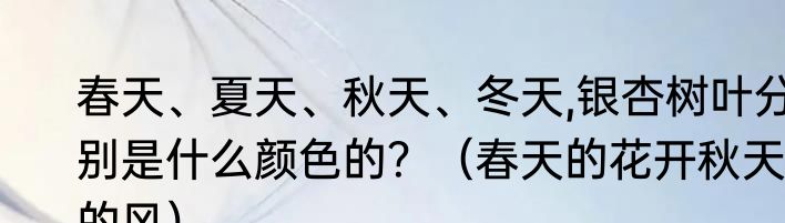 春天、夏天、秋天、冬天,银杏树叶分别是什么颜色的？（春天的花开秋天的风）