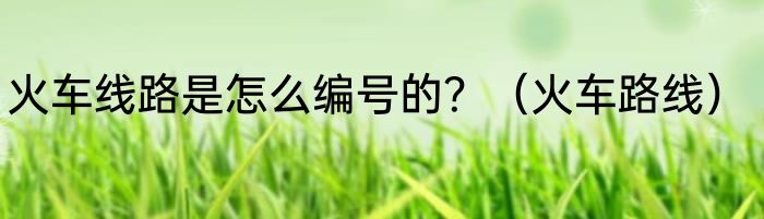 火车线路是怎么编号的？（火车路线）
