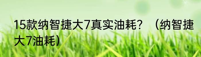 15款纳智捷大7真实油耗？（纳智捷大7油耗）