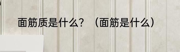 面筋质是什么？（面筋是什么）