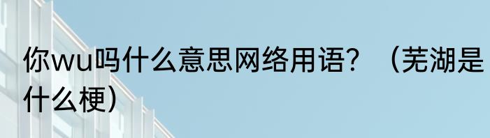你wu吗什么意思网络用语？（芜湖是什么梗）