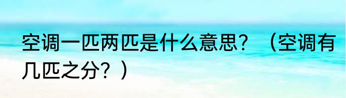 空调一匹两匹是什么意思？（空调有几匹之分？）