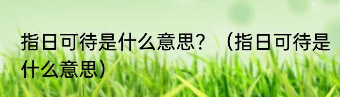 指日可待是什么意思？（指日可待是什么意思）