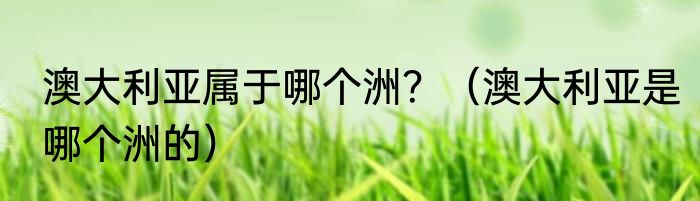 澳大利亚属于哪个洲？（澳大利亚是哪个洲的）