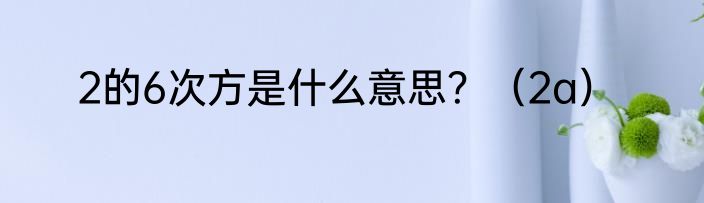 2的6次方是什么意思？（2a）