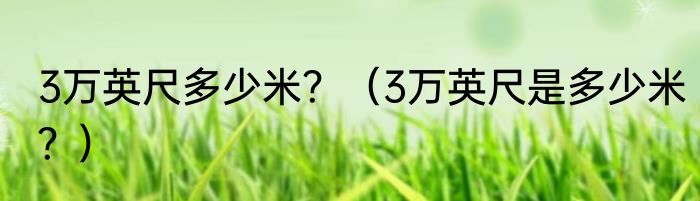 3万英尺多少米？（3万英尺是多少米？）