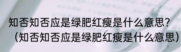 知否知否应是绿肥红瘦是什么意思？（知否知否应是绿肥红瘦是什么意思）