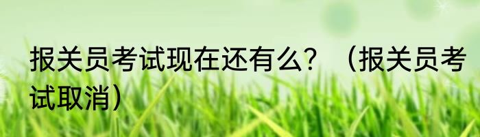 报关员考试现在还有么？（报关员考试取消）