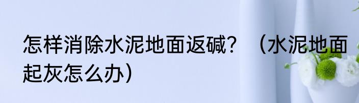 怎样消除水泥地面返碱？（水泥地面起灰怎么办）