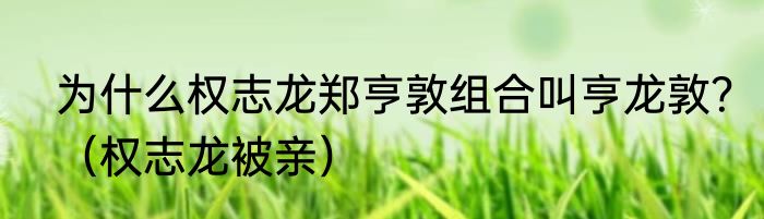 为什么权志龙郑亨敦组合叫亨龙敦？（权志龙被亲）