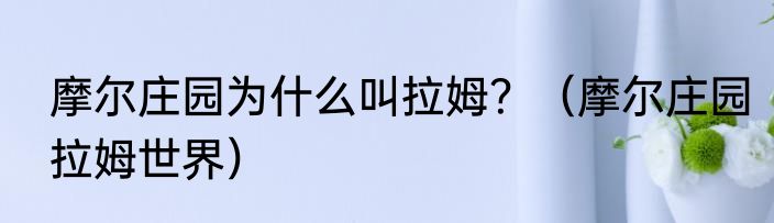 摩尔庄园为什么叫拉姆？（摩尔庄园拉姆世界）