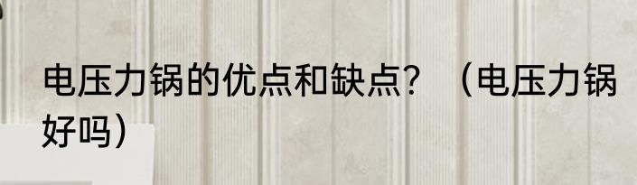 电压力锅的优点和缺点？（电压力锅好吗）