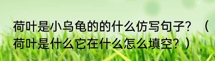 荷叶是小乌龟的的什么仿写句子？（荷叶是什么它在什么怎么填空？）