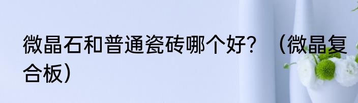 微晶石和普通瓷砖哪个好？（微晶复合板）