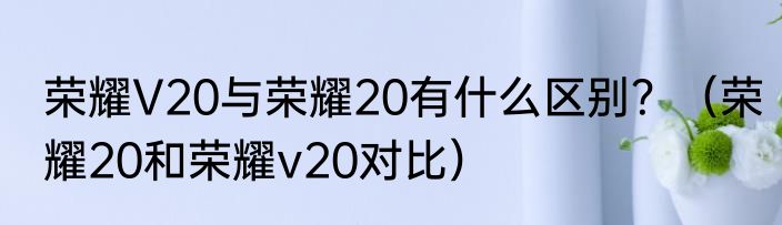 荣耀V20与荣耀20有什么区别？（荣耀20和荣耀v20对比）