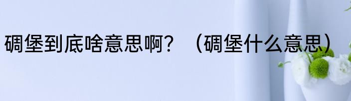 碉堡到底啥意思啊？（碉堡什么意思）