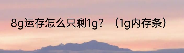 8g运存怎么只剩1g？（1g内存条）