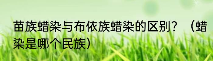 苗族蜡染与布依族蜡染的区别？（蜡染是哪个民族）