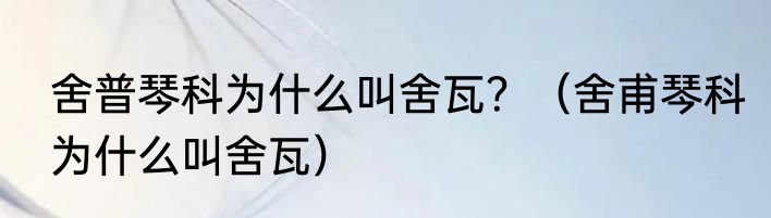 舍普琴科为什么叫舍瓦？（舍甫琴科为什么叫舍瓦）