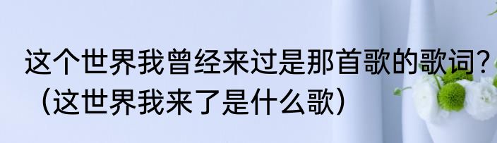 这个世界我曾经来过是那首歌的歌词？（这世界我来了是什么歌）