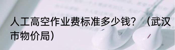 人工高空作业费标准多少钱？（武汉市物价局）