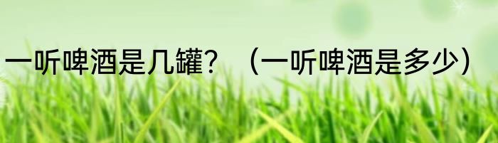 一听啤酒是几罐？（一听啤酒是多少）