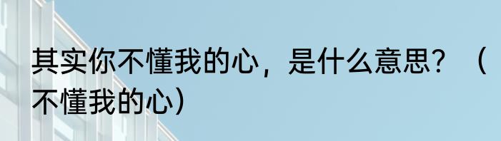 其实你不懂我的心，是什么意思？（不懂我的心）