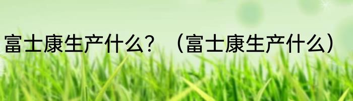富士康生产什么?(富士康生产什么)