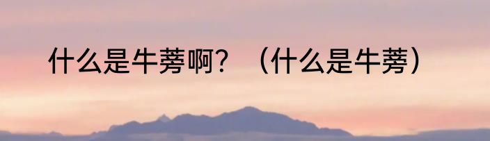 什么是牛蒡啊？（什么是牛蒡）