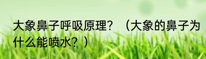 大象鼻子呼吸原理？（大象的鼻子为什么能喷水？）