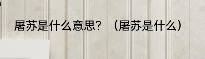 屠苏是什么意思？（屠苏是什么）