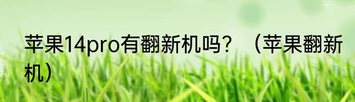 苹果14pro有翻新机吗？（苹果翻新机）