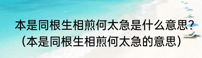 本是同根生相煎何太急是什么意思？（本是同根生相煎何太急的意思）
