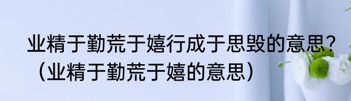 业精于勤荒于嬉行成于思毁的意思？（业精于勤荒于嬉的意思）
