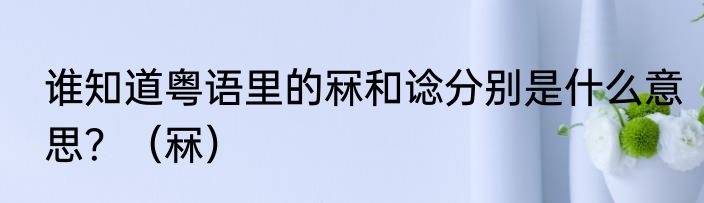 谁知道粤语里的冧和谂分别是什么意思？（冧）