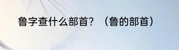 鲁字查什么部首？（鲁的部首）