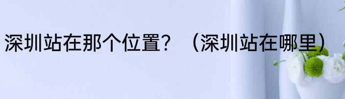 深圳站在那个位置？（深圳站在哪里）