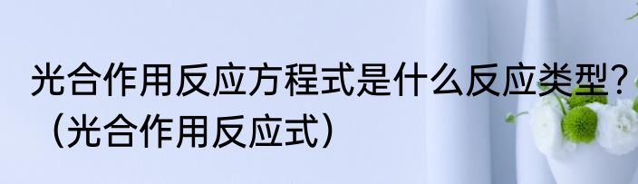 光合作用反应方程式是什么反应类型？（光合作用反应式）