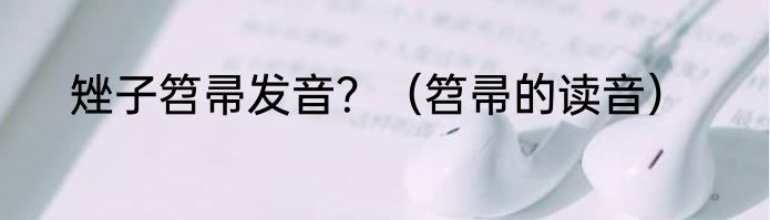 矬子笤帚发音？（笤帚的读音）
