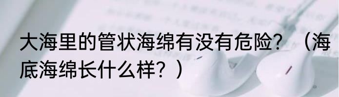 大海里的管状海绵有没有危险？（海底海绵长什么样？）
