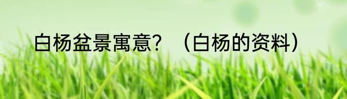 白杨盆景寓意？（白杨的资料）