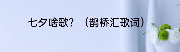 七夕啥歌？（鹊桥汇歌词）