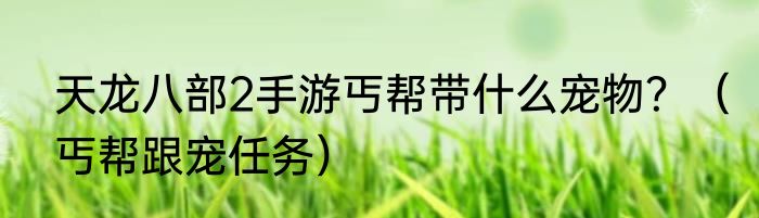 天龙八部2手游丐帮带什么宠物？（丐帮跟宠任务）