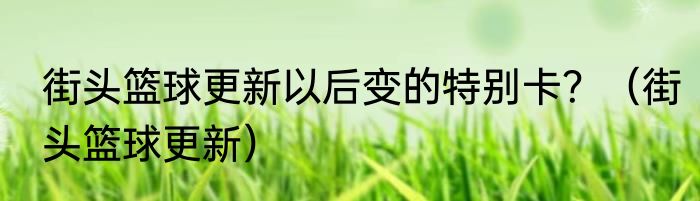 街头篮球更新以后变的特别卡？（街头篮球更新）