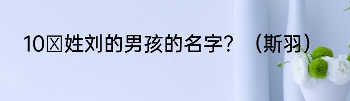 10 姓刘的男孩的名字？（斯羽）